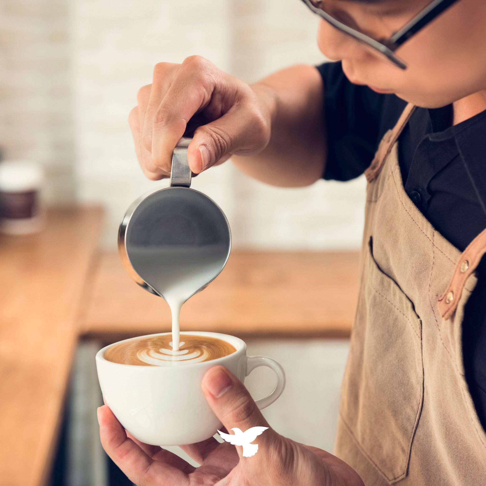 The Dove Ballina – more than a café