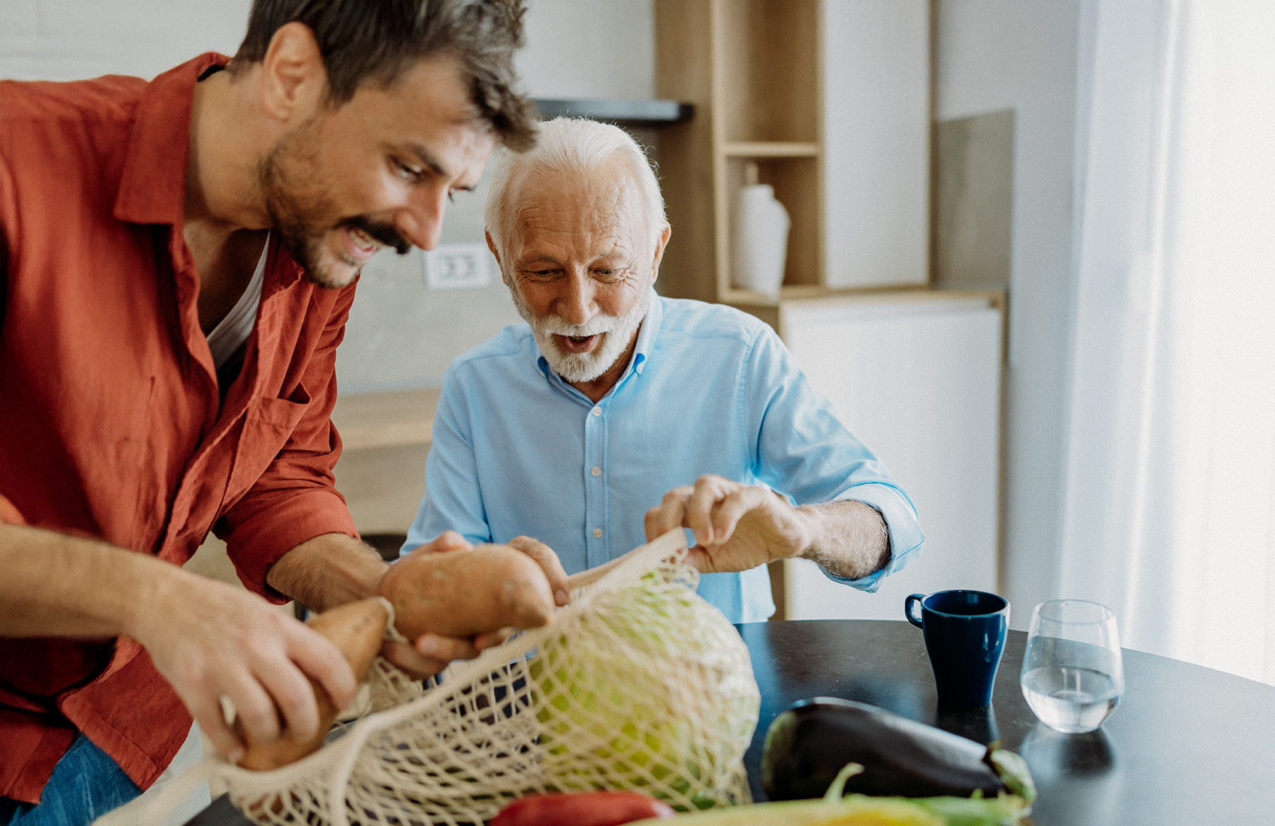 In Home Support Workers and Domestic Assistance Support Workers