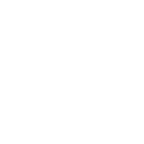 Hands holding dove _ White Icon